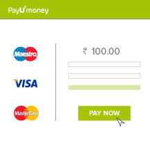 PayUmoney payment infographic