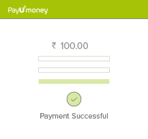 Payment successful infographic