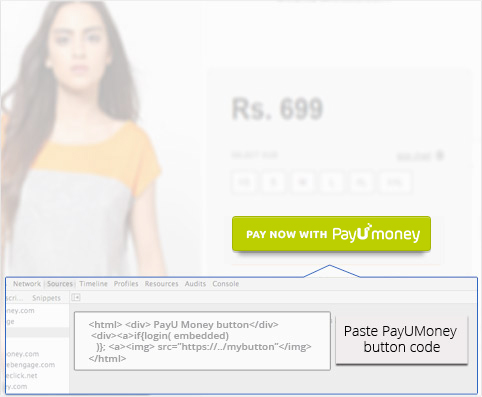 Paste PayUmoney Button Code